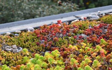 the cost of Sampford Brett green roof installation