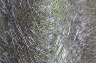 Sampford Brett fibreglass roof work